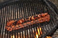 Grilled barbecue ribs