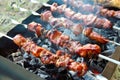 Grilled barbecue sticks cooking