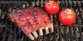 Grilled Barbecue Tasty Smoked Marinated Pork Ribs and Tomatoes