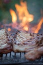Grilled barbeque port. Cooking outdoor. Marinated grilled ribs. Summer picnic. Cooking dinner. Delicious Spareribs Ribs Close-up. Royalty Free Stock Photo