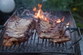 Grilled barbeque port. Cooking outdoor. Marinated grilled ribs. Summer picnic. Cooking dinner. Spareribs Ribs Close-up On The Hot Royalty Free Stock Photo