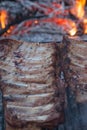 Grilled barbeque port. Cooking outdoor. Marinated grilled ribs. Summer picnic. Cooking dinner. Spareribs Ribs Close-up On The Hot Royalty Free Stock Photo