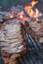 Grilled barbeque port. Cooking outdoor. Marinated grilled ribs. Summer picnic. Cooking dinner. Spareribs Ribs Close-up On The Hot Royalty Free Stock Photo