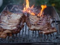 Grilled barbeque port. Cooking outdoor. Marinated grilled ribs. Summer picnic. Cooking dinner. Spareribs Ribs Close-up On The Hot Royalty Free Stock Photo