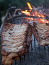 Grilled barbeque port. Cooking outdoor. Marinated grilled ribs. Summer picnic. Cooking dinner. Spareribs Ribs Close-up On The Hot Royalty Free Stock Photo