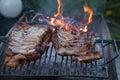 Grilled barbeque port. Cooking outdoor. Marinated grilled ribs. Summer picnic. Cooking dinner. Spareribs Ribs Close-up On The Hot Royalty Free Stock Photo