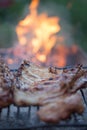 Grilled barbeque port. Cooking outdoor. Marinated grilled ribs. Summer picnic. Cooking dinner. Spareribs Ribs Close-up On The Hot Royalty Free Stock Photo