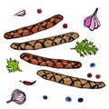 Grilled Bavarian or American Sausages with Chili Pepper, Onion, Garlic, Parsley and Berries. Doodle Style Sketch. Vector Illustrat