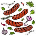 Grilled Bavarian or American Sausages with Chili Pepper, Onion, Garlic, Thyme, Rosemary. Vector Realistic Illustration