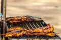 Grilled beach food for sale including fishes, chicken, sausages Royalty Free Stock Photo