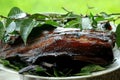 Grilled beaver tail on a plate. Roasted beaver tail recipe