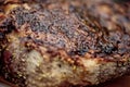 Grilled Beef Cutlet Royalty Free Stock Photo