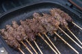 Grilled beef skewers or sate or satay on a pan