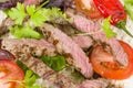 Grilled Beef Wraps Royalty Free Stock Photo