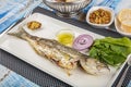 Grilled bluefish fish platter. Bluefish and appetizers in white plate