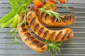 Grilled bratwursts Royalty Free Stock Photo