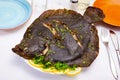 Grilled brill with lemon slices and parsley
