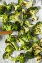 Grilled broccoli pieces on baking paper. Appetizer.