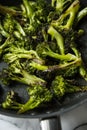 Grilled broccoli roses in a frying pan.