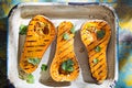 Grilled butternut squash Royalty Free Stock Photo