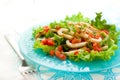 Grilled calamari Royalty Free Stock Photo