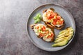 Grilled California Avocado Chicken marinates in balsamic vinaigrette topped with fresh mozzarella, avocado, and tomato closeup on Royalty Free Stock Photo