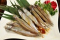 Grilled Capelin Royalty Free Stock Photo