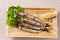 Grilled capelin Royalty Free Stock Photo
