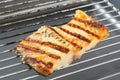 Grilled carp fillet