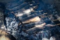 Grilled catfish or inihaw na hito or pantat Royalty Free Stock Photo