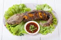 Grilled catfish