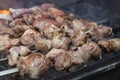 Grilled caucasus barbecue skewers in smoke Royalty Free Stock Photo
