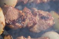 Grilled caucasus barbecue in smoke