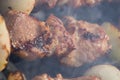 Grilled caucasus barbecue in smoke Royalty Free Stock Photo