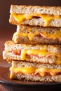 Grilled cheese and bacon sandwich Royalty Free Stock Photo