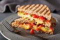 Grilled cheese sandwich with avocado and tomato Royalty Free Stock Photo