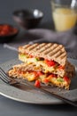 Grilled cheese sandwich with avocado and tomato Royalty Free Stock Photo