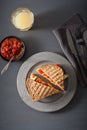 Grilled cheese sandwich with avocado and tomato Royalty Free Stock Photo