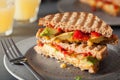 Grilled cheese sandwich with avocado and tomato Royalty Free Stock Photo