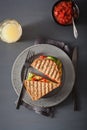 Grilled cheese sandwich with avocado and tomato Royalty Free Stock Photo