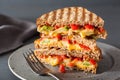 Grilled cheese sandwich with avocado and tomato Royalty Free Stock Photo