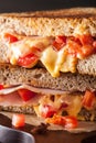 Grilled cheese sandwich with ham and tomato Royalty Free Stock Photo