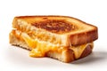 Grilled cheese sandwich isolated on a white background. AI Royalty Free Stock Photo