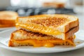 A grilled cheese sandwich. melted cheese and toast