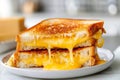 A grilled cheese sandwich. melted cheese and toast