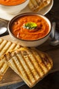 Grilled Cheese Sandwich with Tomato Soup Royalty Free Stock Photo