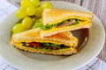 Grilled cheese sandwich with vegetable and grape Royalty Free Stock Photo