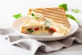 Grilled cheese and tomato sandwich on white background