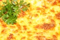 Grilled cheese topping with parsley - background Royalty Free Stock Photo
