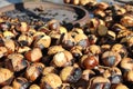 Grilled chestnuts at Istanbul in Turkey Royalty Free Stock Photo